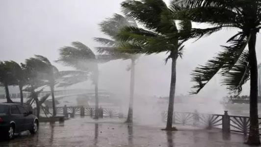 8月臺風雨即將來，除濕機還得用起來