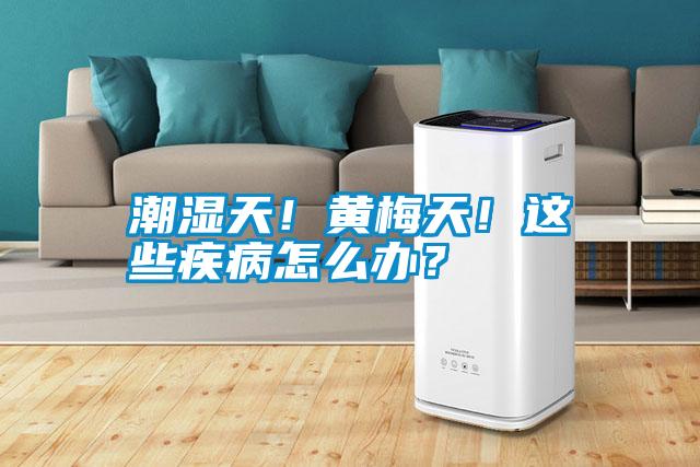 潮濕天！黃梅天！這些疾病怎么辦？
