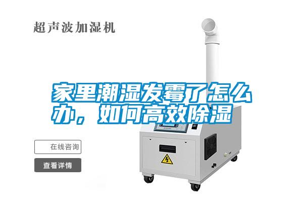 家里潮濕發(fā)霉了怎么辦，如何高效除濕
