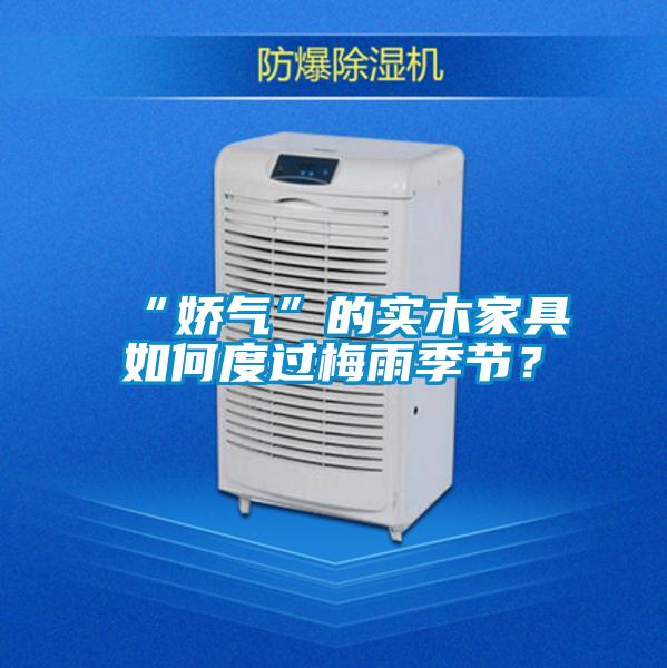 “嬌氣”的實(shí)木家具如何度過(guò)梅雨季節(jié)？