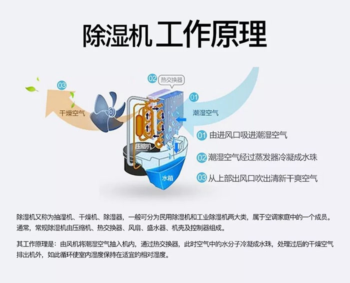 米粉烘干除濕一體機(jī)，米粉烘干沒難題。