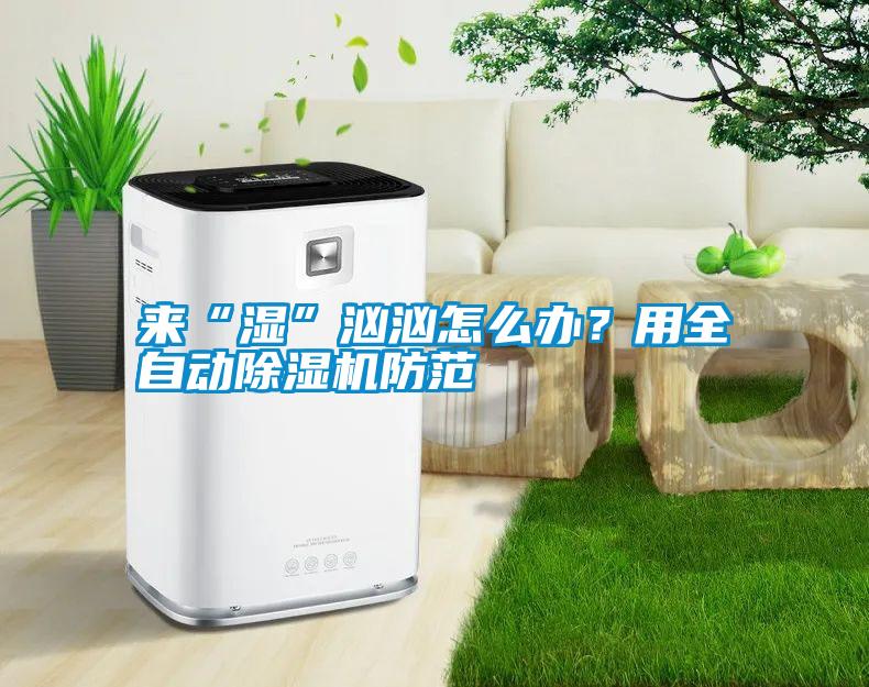 來“濕”洶洶怎么辦？用全自動除濕機防范