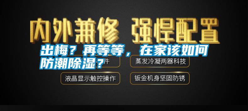 出梅？再等等，在家該如何防潮除濕？