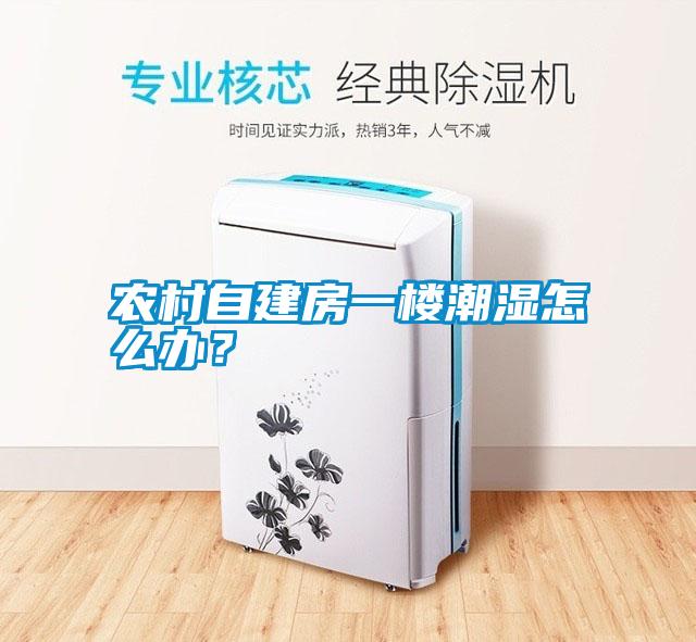 農(nóng)村自建房一樓潮濕怎么辦？