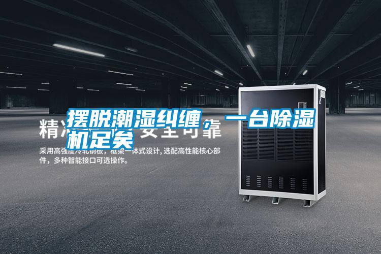 擺脫潮濕糾纏，一臺除濕機足矣