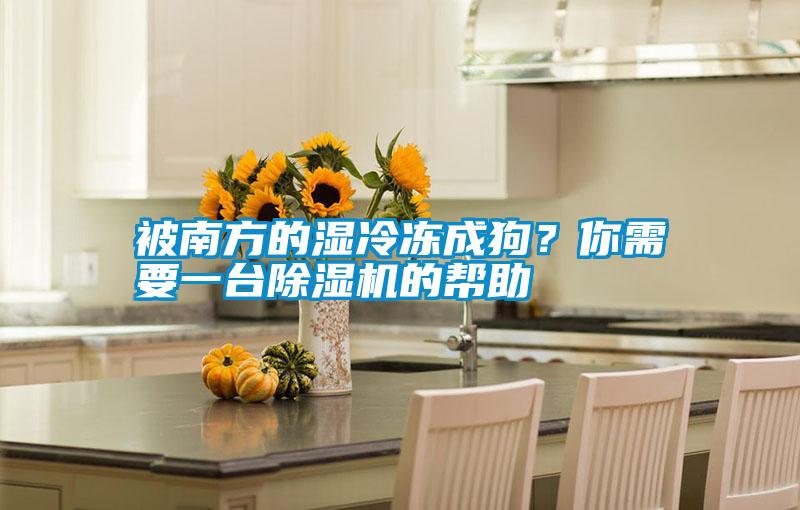 被南方的濕冷凍成狗？你需要一臺(tái)除濕機(jī)的幫助