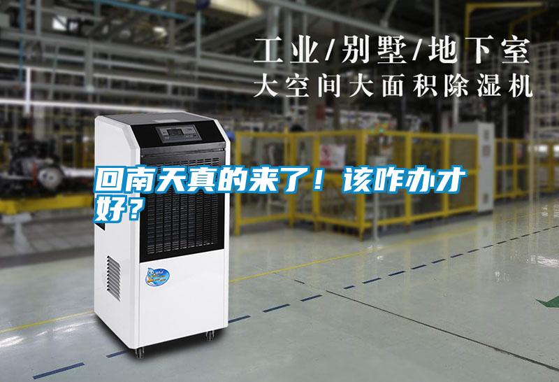 回南天真的來(lái)了！該咋辦才好？