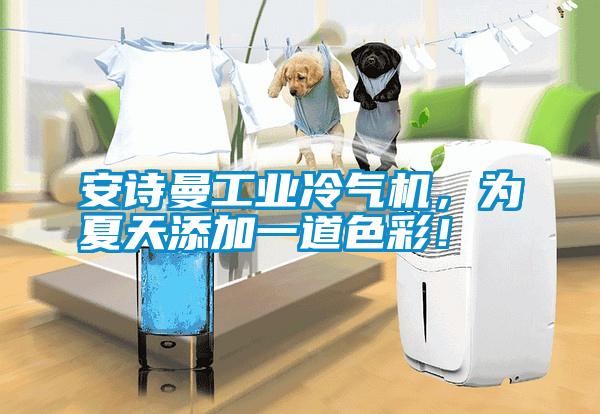 安詩(shī)曼工業(yè)冷氣機(jī)，為夏天添加一道色彩！