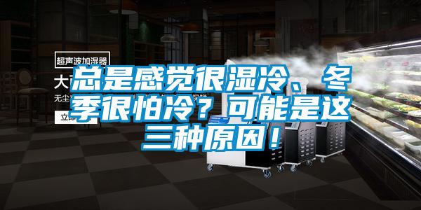 總是感覺很濕冷、冬季很怕冷？可能是這三種原因！