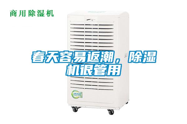春天容易返潮，除濕機(jī)很管用
