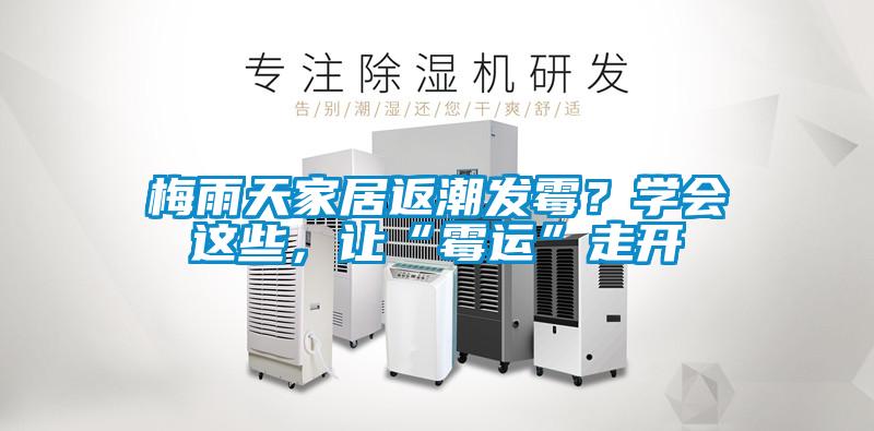 梅雨天家居返潮發(fā)霉？學(xué)會(huì)這些，讓“霉運(yùn)”走開