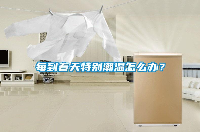 每到春天特別潮濕怎么辦？