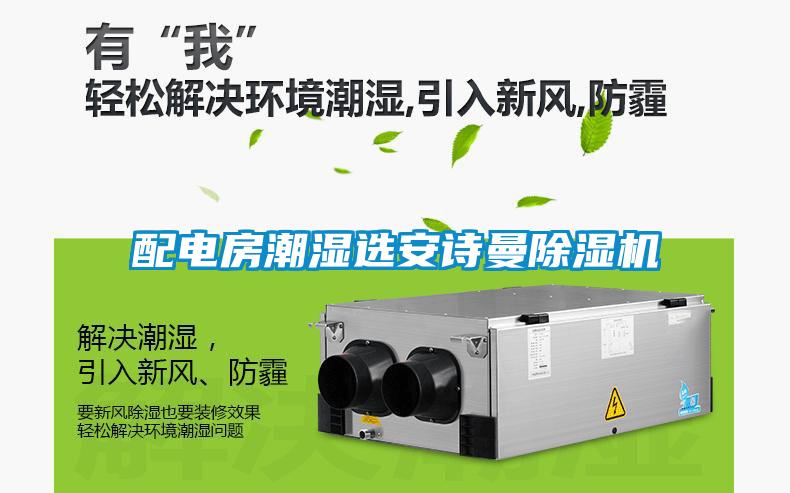 配電房潮濕選安詩曼除濕機