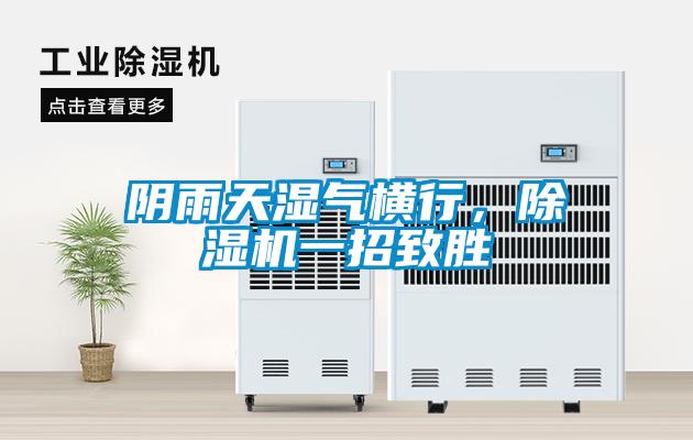 陰雨天濕氣橫行，除濕機一招致勝