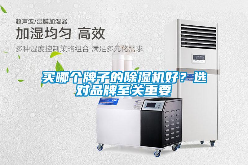 買哪個(gè)牌子的除濕機(jī)好？選對(duì)品牌至關(guān)重要