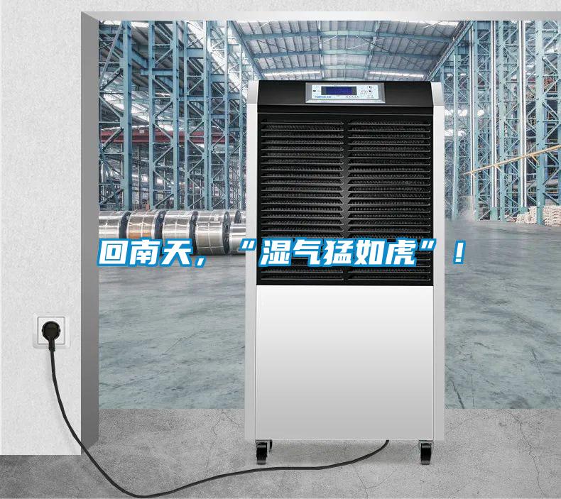 回南天，“濕氣猛如虎”！