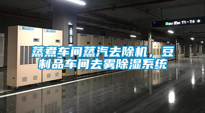 蒸煮車間蒸汽去除機，豆制品車間去霧除濕系統(tǒng)