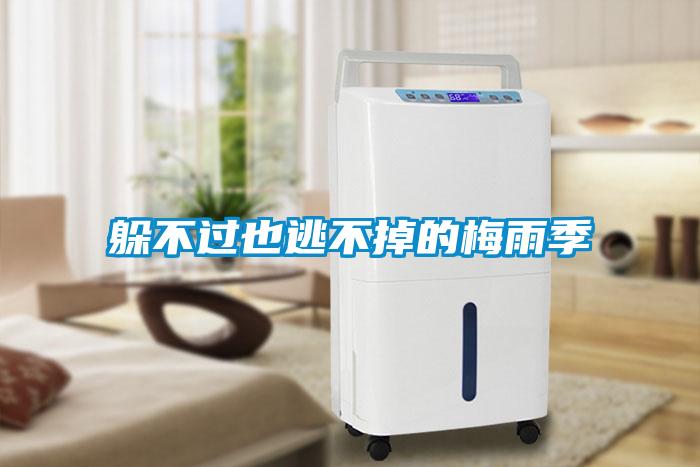 躲不過也逃不掉的梅雨季