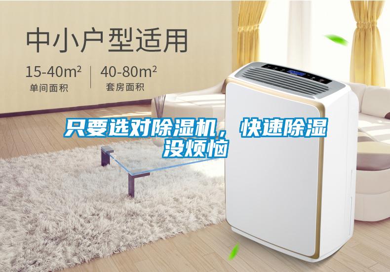 只要選對除濕機(jī)，快速除濕沒煩惱