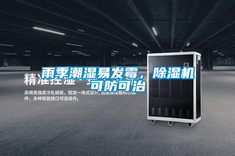 雨季潮濕易發(fā)霉，除濕機可防可治