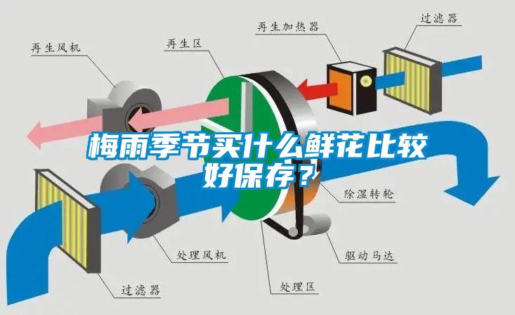 梅雨季節(jié)買什么鮮花比較好保存？