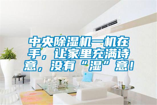 中央除濕機(jī)一機(jī)在手，讓家里充滿詩(shī)意，沒(méi)有“濕”意！