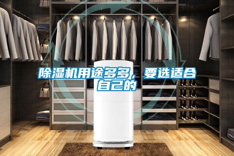 除濕機用途多多，要選適合自己的