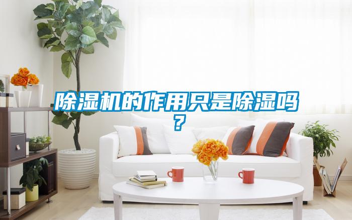 除濕機的作用只是除濕嗎？
