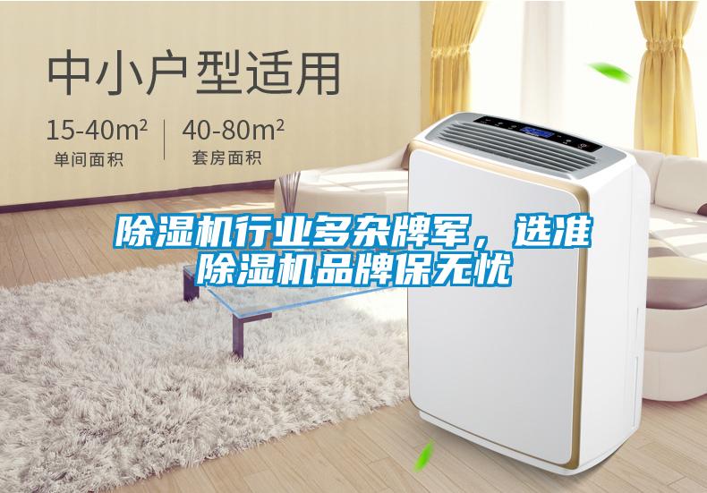除濕機(jī)行業(yè)多雜牌軍，選準(zhǔn)除濕機(jī)品牌保無(wú)憂