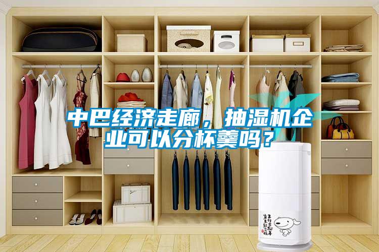 中巴經(jīng)濟(jì)走廊，抽濕機(jī)企業(yè)可以分杯羹嗎？
