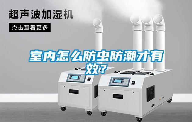 室內(nèi)怎么防蟲防潮才有效？