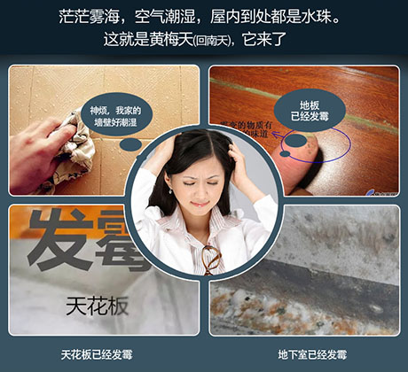 家庭別墅的地下室、衛(wèi)生間、儲(chǔ)物室等該如何除濕？
