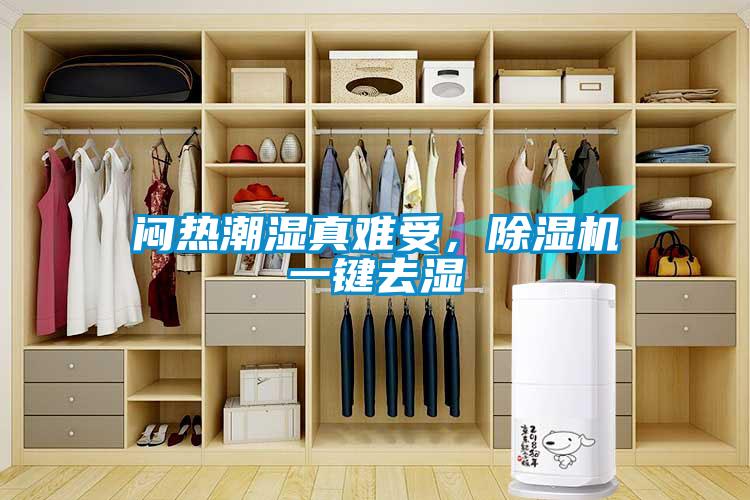 悶熱潮濕真難受，除濕機(jī)一鍵去濕