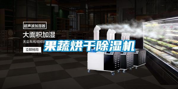 果蔬烘干除濕機(jī)