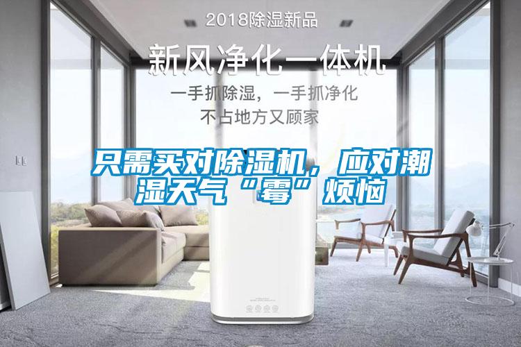 只需買對除濕機，應對潮濕天氣“霉”煩惱