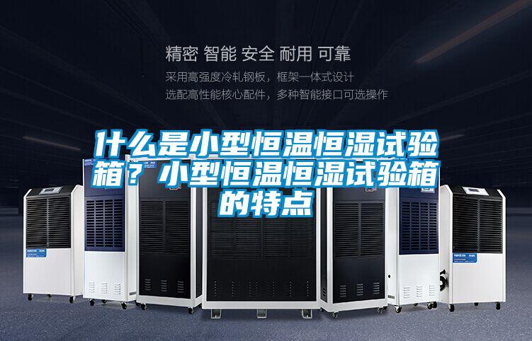 什么是小型恒溫恒濕試驗(yàn)箱？小型恒溫恒濕試驗(yàn)箱的特點(diǎn)