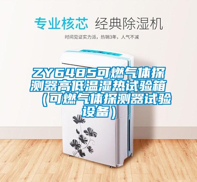 ZY6485可燃?xì)怏w探測(cè)器高低溫濕熱試驗(yàn)箱（可燃?xì)怏w探測(cè)器試驗(yàn)設(shè)備）