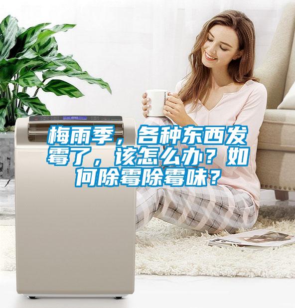 梅雨季，各種東西發(fā)霉了，該怎么辦？如何除霉除霉味？