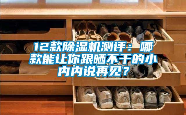 12款除濕機測評：哪款能讓你跟曬不干的小內(nèi)內(nèi)說再見？