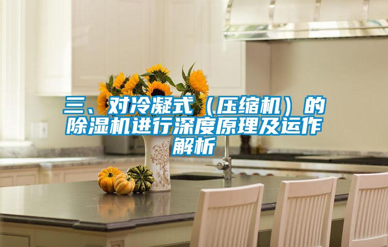 三、對(duì)冷凝式（壓縮機(jī)）的除濕機(jī)進(jìn)行深度原理及運(yùn)作解析