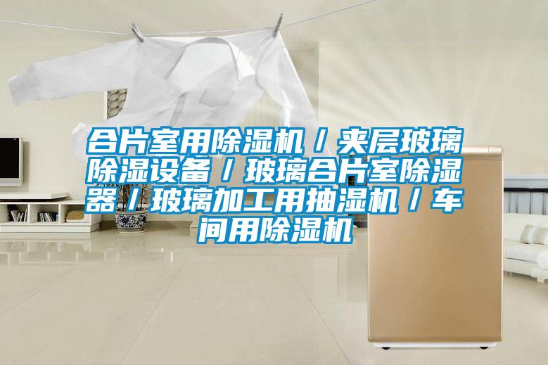 合片室用除濕機(jī)／夾層玻璃除濕設(shè)備／玻璃合片室除濕器／玻璃加工用抽濕機(jī)／車(chē)間用除濕機(jī)