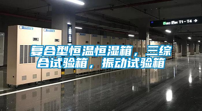 復(fù)合型恒溫恒濕箱，三綜合試驗箱，振動試驗箱