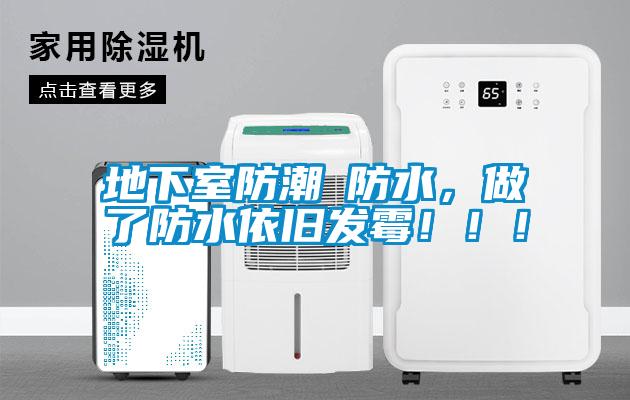 地下室防潮≠防水，做了防水依舊發(fā)霉?。。?></div>
								<div   id=