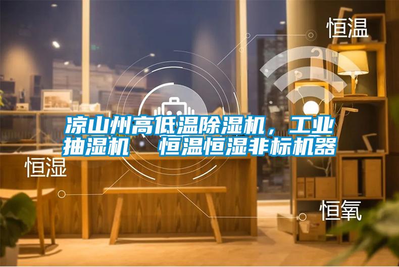 涼山州高低溫除濕機(jī)，工業(yè)抽濕機(jī)  恒溫恒濕非標(biāo)機(jī)器