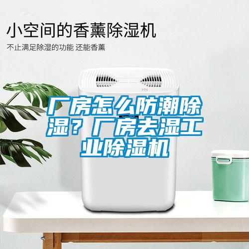 廠房怎么防潮除濕？廠房去濕工業(yè)除濕機