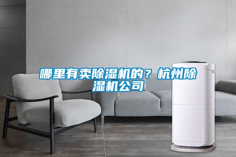 哪里有賣除濕機的？杭州除濕機公司