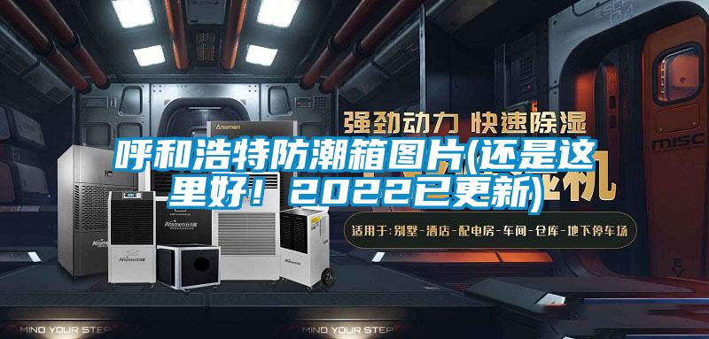 呼和浩特防潮箱圖片(還是這里好！2022已更新)