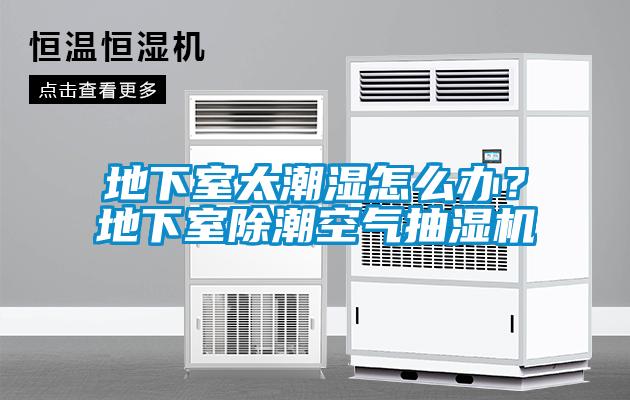 地下室太潮濕怎么辦？地下室除潮空氣抽濕機