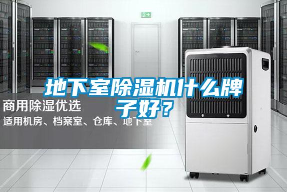 地下室除濕機(jī)什么牌子好？