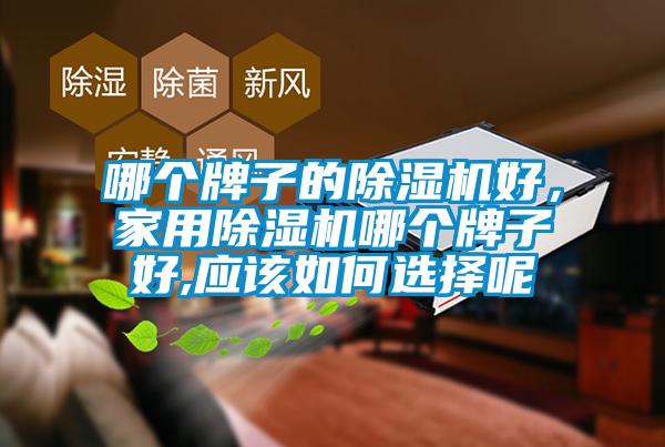 哪個牌子的除濕機好，家用除濕機哪個牌子好,應該如何選擇呢